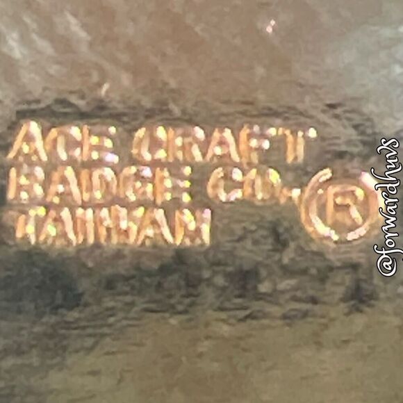 Bundle Sale 3 for $15 | Cedar Mills Lions Club Pin - Picture 8 of 9